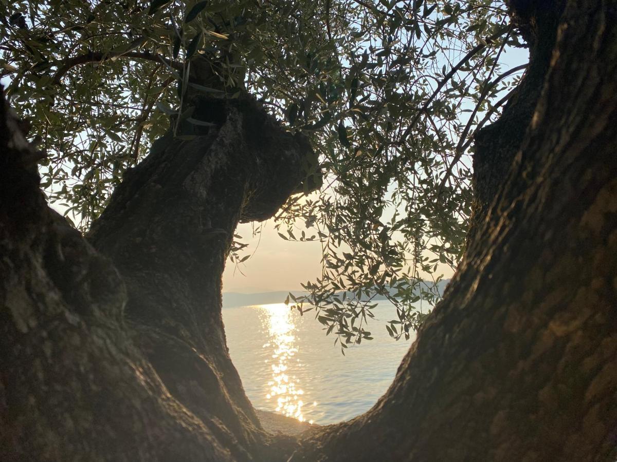 Violetta Maison, Elegante E Romantica A Salo' Διαμέρισμα Εξωτερικό φωτογραφία